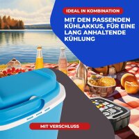 Kühlbox Coolbox Thermobox Picknick Camping 24Liter Warmhaltebox