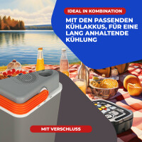 Elektrische Kühlbox 30L Coolbox Thermobox Picknick...