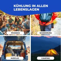 Elektrische Kühlbox 30L Coolbox Thermobox Picknick Camping 30Liter 12V 230V