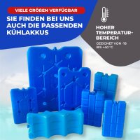 Elektrische Kühlbox 30L Coolbox Thermobox Picknick Camping 30Liter 12V 230V