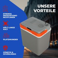 Elektrische Kühlbox 30L Coolbox Thermobox Picknick Camping 30Liter 12V 230V