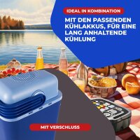 Elektrische Kühlbox 21L Coolbox Thermobox Picknick Camping 21 Liter 12V 230V