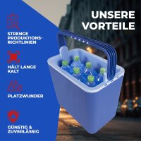 Elektrische Kühlbox 21L Coolbox Thermobox Picknick Camping 21 Liter 12V 230V