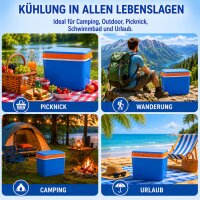Elektrische Kühlbox 22L Coolbox Thermobox Picknick Camping 21 Liter 12V 230V