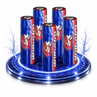 5 x A27 Wilhelm Alkaline Batterien MN27 L828 27A 8LR732 12 Volt