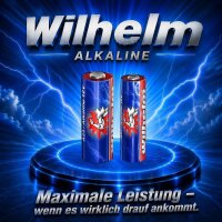 5 x A27 Wilhelm Alkaline Batterien MN27 L828 27A 8LR732 12 Volt
