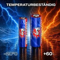 5 x A27 Wilhelm Alkaline Batterien MN27 L828 27A 8LR732 12 Volt
