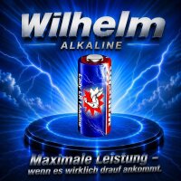 100 x WILHELM Lady N LR1 MN9100 4001 910A 1,5V Batterie