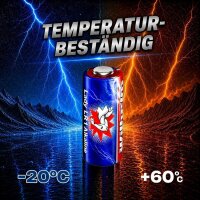 100 x WILHELM Lady N LR1 MN9100 4001 910A 1,5V Batterie
