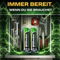 5 x Wilhelm AKKU-LÖTFAHNE Z-Form AAA Universal