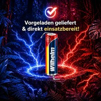 1 x Lithium Ionen Akku Wilhelm 3,7 V LÖTFAHNE Z Form 800 mAh Typ 14500 Li Ion AA