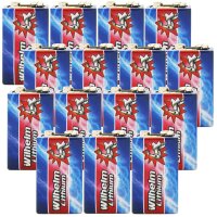 15 x Wilhelm Lithium 9V 9V Block Batterie Rauchmelder...