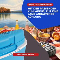12V Kühlbox 24 Coolbox Thermobox Picknick Camping...