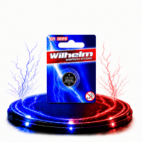 1 x Wilhelm CR1225 Blister