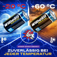 60 x Wilhelm Mono D Universal Alkaline Batterien LR20 1,5V