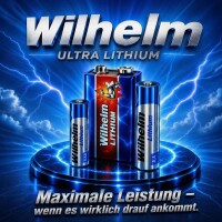 30 x Wilhelm Lithium AA Mignon Batterien LR6 1,5V...
