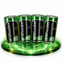 4 x Akku Mono D Wilhelm Universal 9000 mAh Akku Zelle...