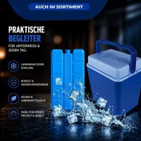 10 x Fritz-Cell Soda 8g