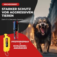 2 x Wilhelm Gelb Schlüsselanhänger