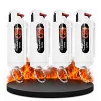 4 x Wilhelm Weiß Schlüsselanhänger